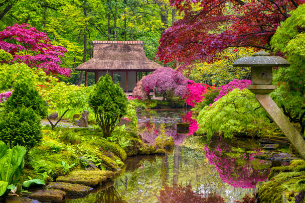 jardin japonais